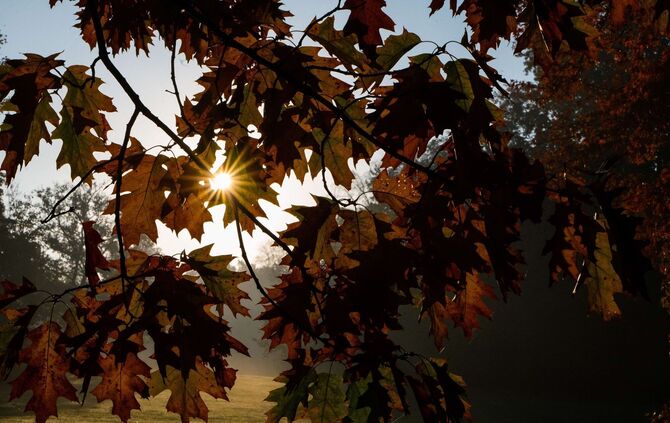 Was der Herbst mit unserem Körper macht