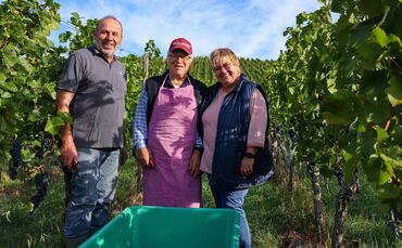 Mino Valenti (90) aus Südtirol packt immer an, wenn in den Weinbergen von Roland und Martina Mayer aus Gundelsbach die Weinlese
