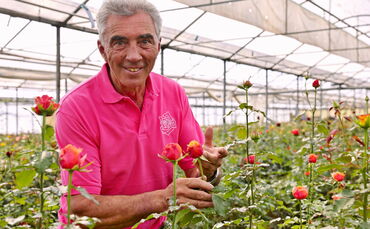 Peter Schwarzkopf kultiviert Rosen in Fellbach und ist Kreisgärtnermeister des Rems-Murr-Kreises.