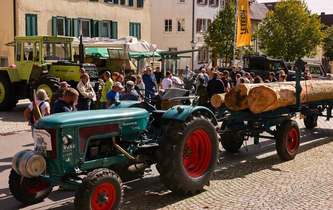 Traktoren schleppen die Hölzer durch die Straßen, wo sie beispielsweise bei Vorführungen in der Hummelgautsche in Stücke gesägt