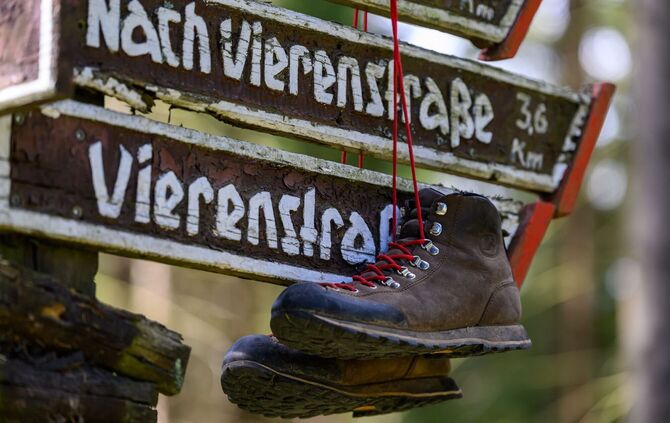 Wandern als Wirtschaftsfaktor