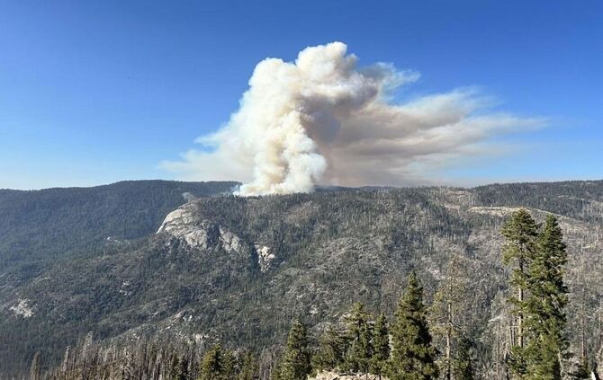 Waldbrände in den USA