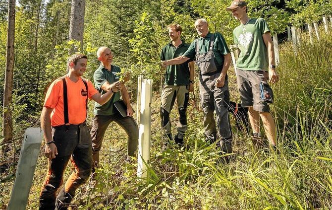 Tobias Wieland (von links), Jürgen Baumann, Paul Bek, Rudolf Wieland und John Wieland freuen sich darüber, dass es auf dem Walds