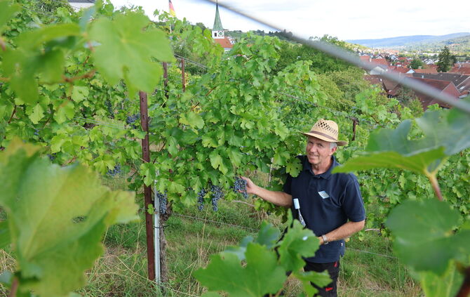 Andreas Ellwanger vom Weingut Doreas hält die Piwi-Weine für eine richtig gute Sache: Sie schmecken, sind pflegeleichter und hab