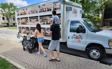 Mit diesem Truck möchte Peta in Stuttgart auf das Tierleid in der Fleischindustrie aufmerksam machen.