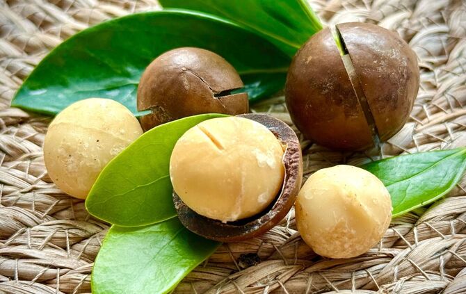 Macadamia-Nüsse