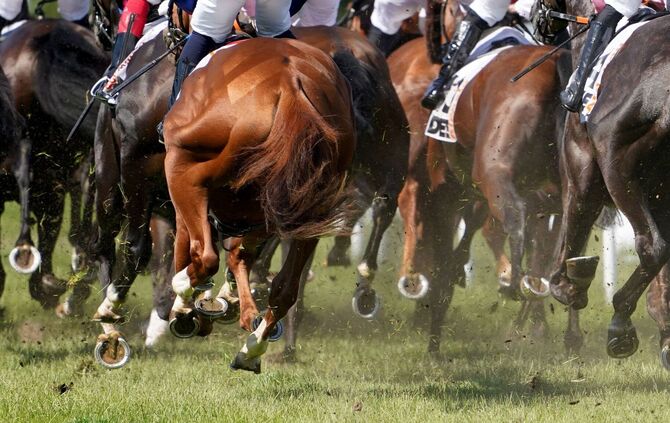 Galopp-Rennen in Hamburg-Horn