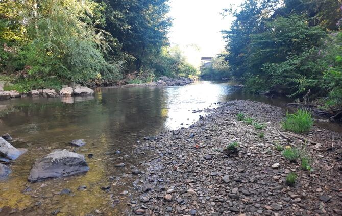 Die fast wasserleere Rems bei Plüderhausen im August: Man wäre mit ein bisschen Anstrengung trockenen Fußes vom einen zum andere