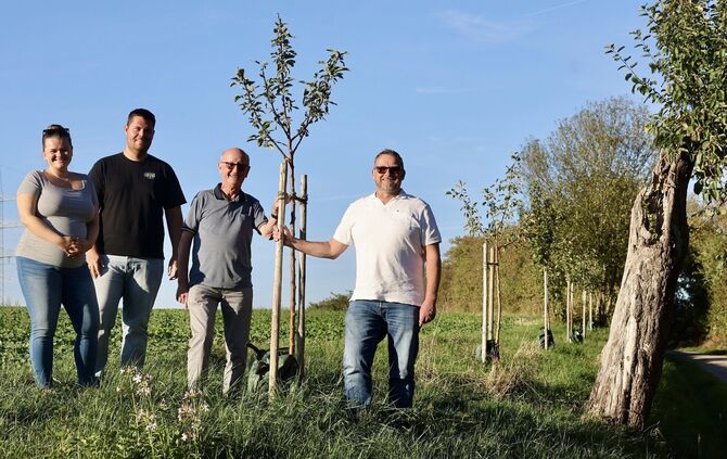 Lena und Martin Scheunemann, Werner Schoor und Georg Spinner (v.l.) an den vom OGV gepflanzten Obstbäumen am Backnanger Weg.