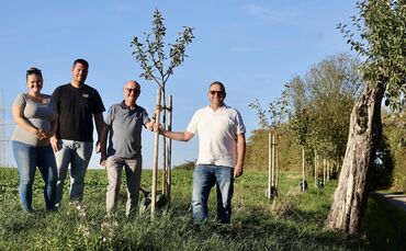 Lena und Martin Scheunemann, Werner Schoor und Georg Spinner (v.l.) an den vom OGV gepflanzten Obstbäumen am Backnanger Weg.