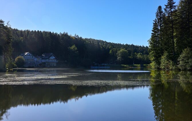 Der Ebnisee wird bald abgelassen, um ihn wieder tiefer ausbaggern zu können.