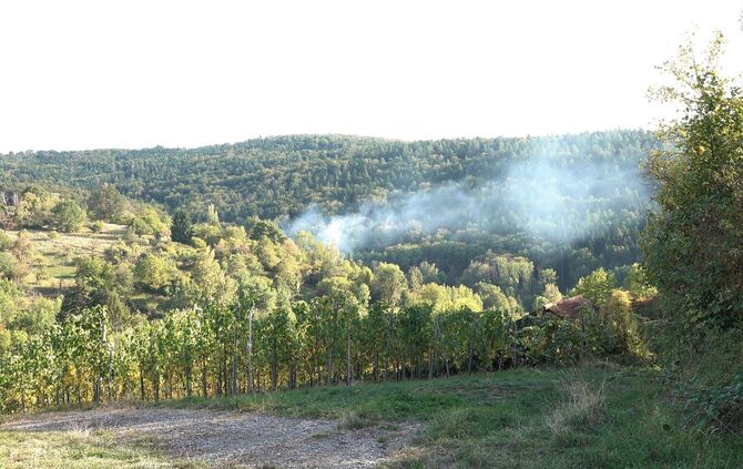 Bei Winnenden ist ein Gartengrundstück in Brand geraten.