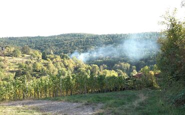 Bei Winnenden ist ein Gartengrundstück in Brand geraten.