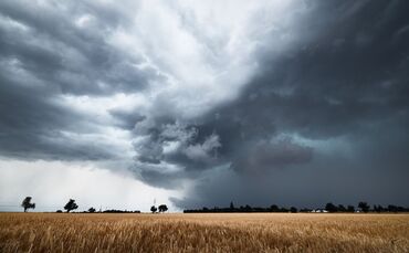 Gewitterwolken sollen übers Land ziehen. (Archivbild)
