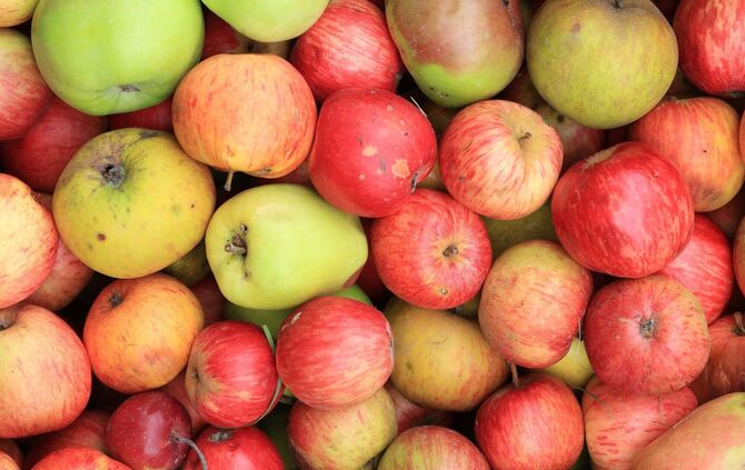 Äpfel