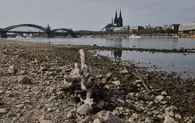 Niedrigwasser am Rhein in Köln