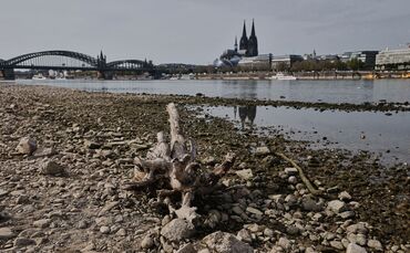 Niedrigwasser am Rhein in Köln