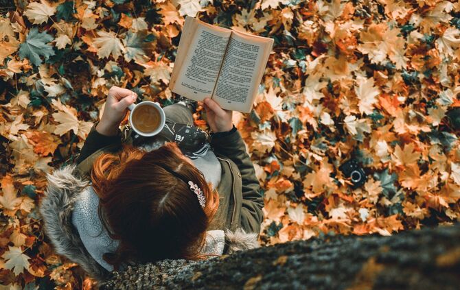 Schmökern im Herbst - nur was? Wir haben die Buch-Tipps für Jung und Alt.