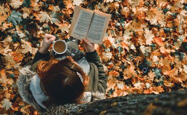 Schmökern im Herbst - nur was? Wir haben die Buch-Tipps für Jung und Alt.