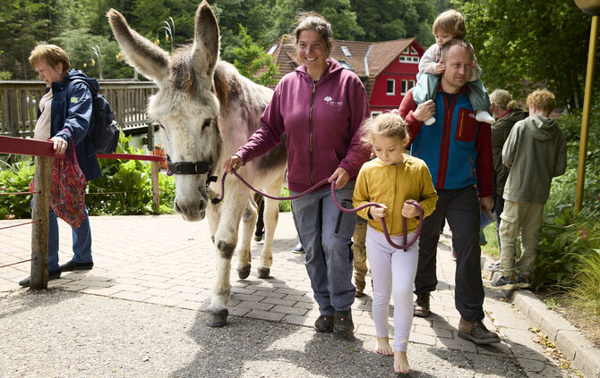 Das Kunstsinnfestival bietet Programm für die ganze Familie und alle Freunde des Eins und Alles.