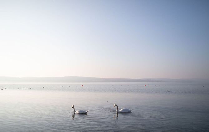 Sonniger Nachmittag am Bodensee