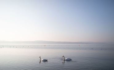 Sonniger Nachmittag am Bodensee