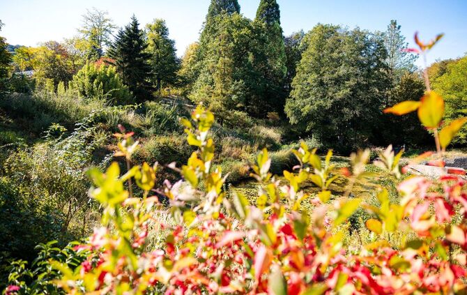 Herbst in Saarland