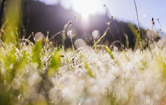 Wetter in Baden-Württemberg