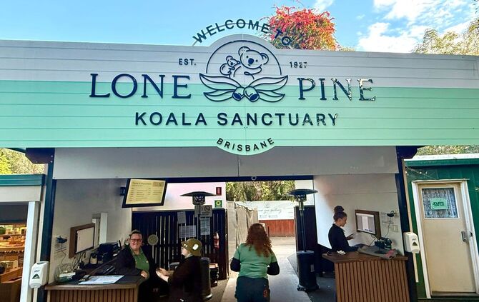 Koala-Schutzzentrum in Brisbane