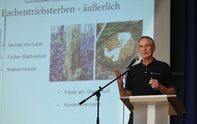Erklärt Symptome des Eschentriebsterbens: Forstamtsleiter Ulrich Häußermann.