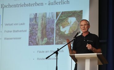 Erklärt Symptome des Eschentriebsterbens: Forstamtsleiter Ulrich Häußermann.