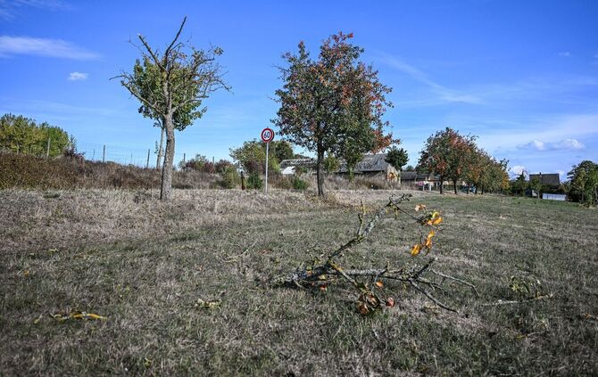 Kleinflugzeug im Landkreis Heilbronn abgestürzt