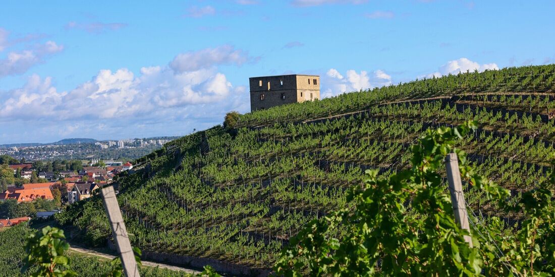 Weinberge um die Yburg in Stetten: Hier sieht alles noch prima aus - das ist aber längst nicht mehr überall so (Archivfoto).