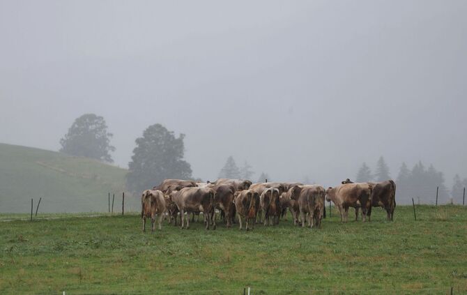 Wetter in Bayern