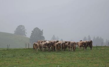Wetter in Bayern
