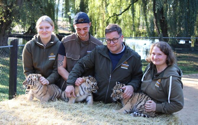 Tigerdrillinge im Tierpark Ströhen