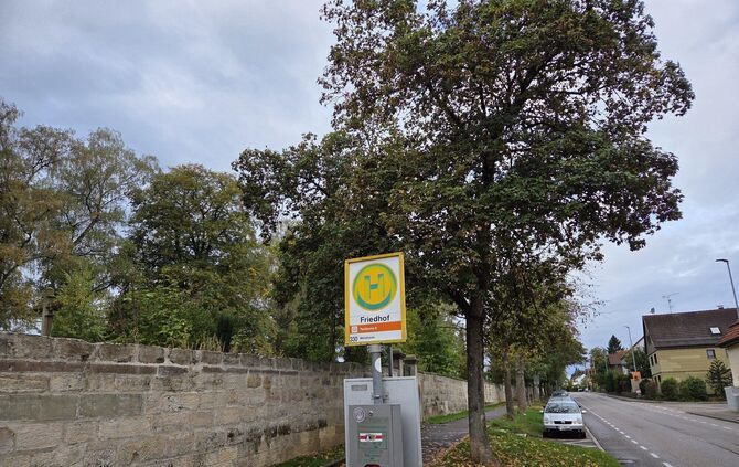 Auch hier an der Rudersberger Straße müssen Bäume gefällt werden.
