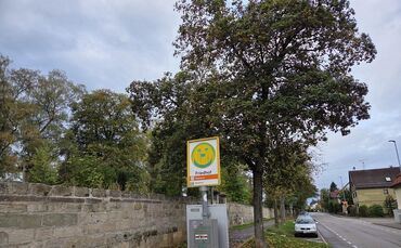 Auch hier an der Rudersberger Straße müssen Bäume gefällt werden.