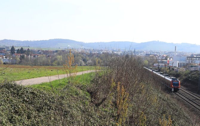 Aktuell besteht das Areal "Im Brühl" noch überwiegend aus Wiesen und Äckern unweit der Bahnlinie, in naher Zukunft soll zwischen