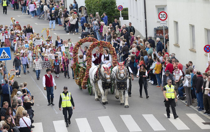 Der Festumzug beim Fellbacher Herbst wird immer gut besucht (Archivbild).