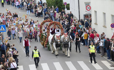 Der Festumzug beim Fellbacher Herbst wird immer gut besucht (Archivbild).