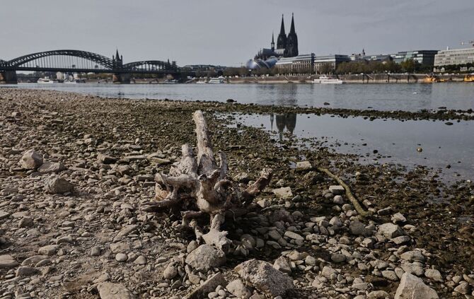 Niedrigwasser am Rhein in Köln