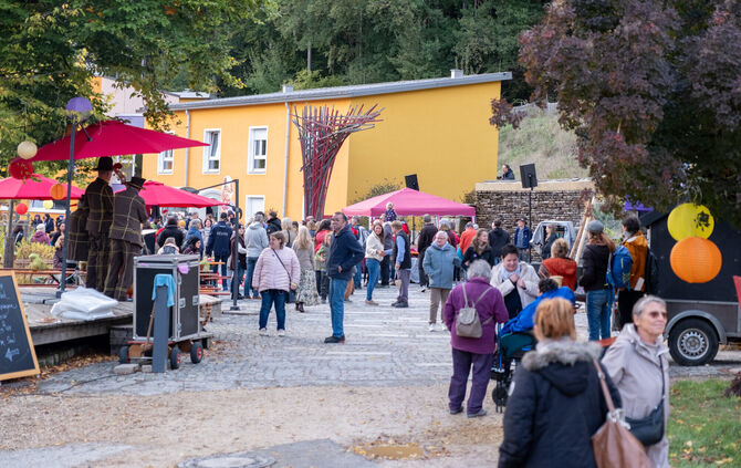 Wenn das Eins und Alles zum Kunstsinnfestival an die Laufenmühle einlädt, kommen viele Gäste aus der ganzen Region.