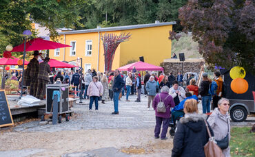 Wenn das Eins und Alles zum Kunstsinnfestival an die Laufenmühle einlädt, kommen viele Gäste aus der ganzen Region.