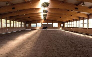 In der Halle der Reitgemeinschaft Hegnach-Oeffingen e.V. dürfen sich die Besucher bald auf spannenden Reitsport freuen.