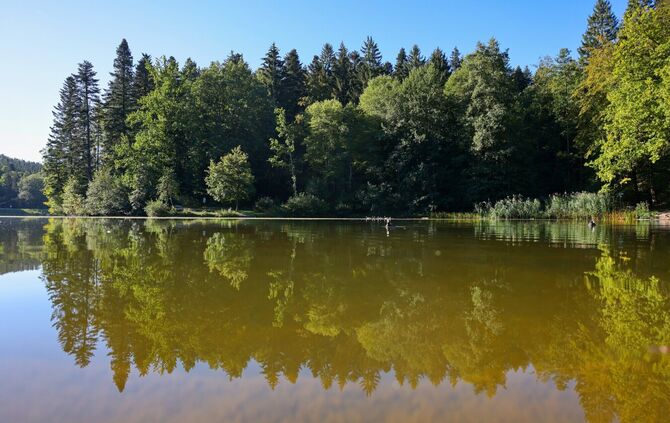 Der Ebnisee wird für etwa ein Jahr zur Ebniwiese.