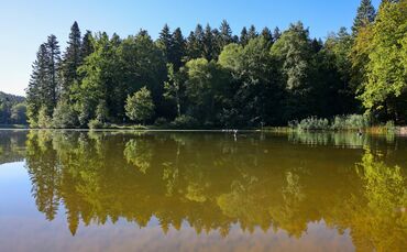 Der Ebnisee wird für etwa ein Jahr zur Ebniwiese.
