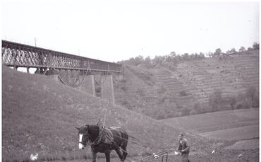 In den dreißiger oder vierziger Jahren: Feldarbeit bei Kleinhegnach am Fuß des Remstal-Viadukts Neustadt.