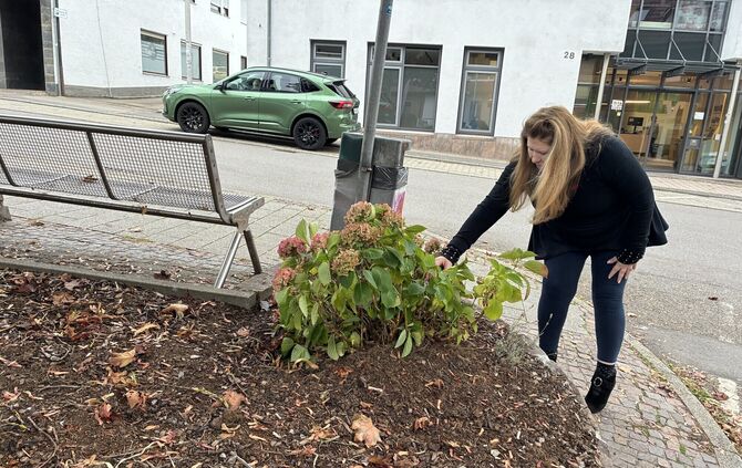 Monika-Charlotte Prietzel hofft, dass der gekappte Strauch zumindest überlebt.