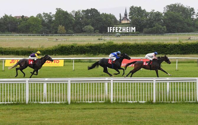 Galopp